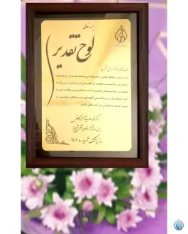 عکس فیزیوتراپی دکتر اسماعیل شکری، بلوار دکتر شریعتی، شیراز 2