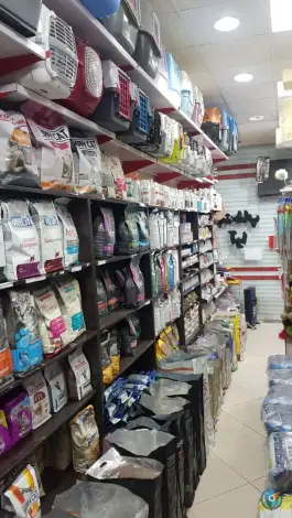 عکس کلینیک دامپزشکی آرا رجایی شهر کرج 2