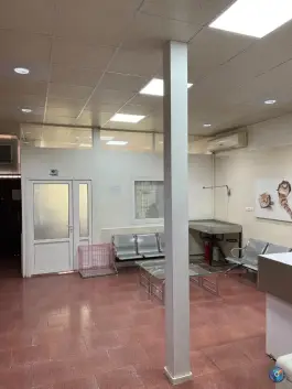عکس کلینیک دامپزشکی آرا رجایی شهر کرج 7