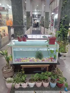 عکس پاساژ سمنانی گلشهر کرج 2