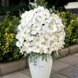 عکس گل فروشی بلوم عظیمیه کرج 3