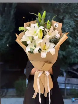 عکس گالری گل آریا، باغ دریاچه، اصفهان 6