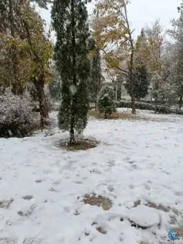 عکس پارک باران «محله بوزان» اصفهان 1