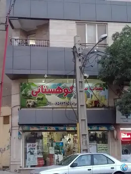 عکس های لبنیات سنتی کوهستانی «ابوسعید» کرج