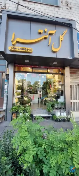 عکس گل فروشی آنترا شرع پسند کرج 1