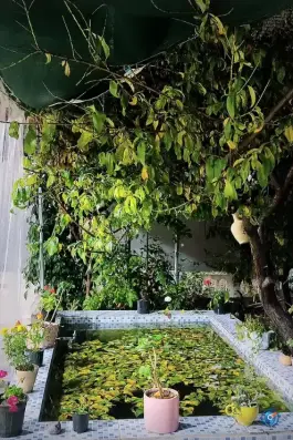 عکس کافه کتاب ری را، محله رکن الدوله غربی، اصفهان 3