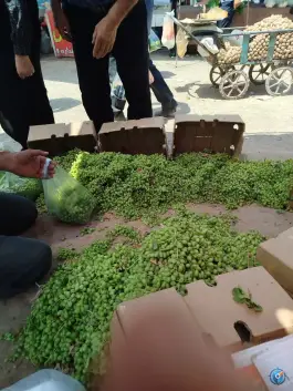 عکس سه شنبه بازار دهقان ویلا کرج 2