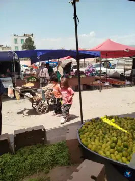 عکس سه شنبه بازار دهقان ویلا کرج 3