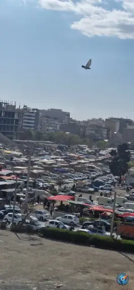 عکس سه شنبه بازار دهقان ویلا کرج 5