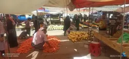 عکس سه شنبه بازار دهقان ویلا کرج 8