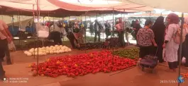 عکس سه شنبه بازار دهقان ویلا کرج 9