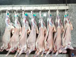 عکس سوپر گوشت فجر، محله خیادان، اصفهان 1