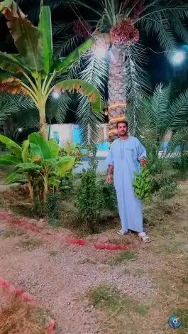 عکس کافه رستوران باغ انار، پل بندقیر، شوشتر 9