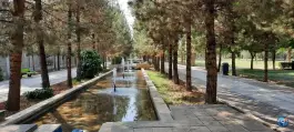 عکس بوستان باغ جنت، محله ترمینال باربری، شیراز 8