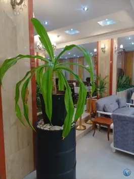 عکس هتل آپارتمان میزبان مشهد، محله کوشش، مشهد 10