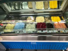 عکس بستنی شاد، اطلسی، شیراز 3