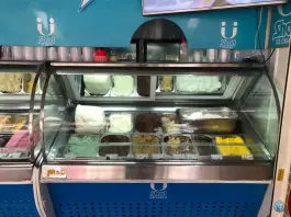 عکس بستنی شاد، اطلسی، شیراز 7