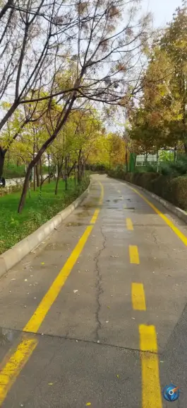 عکس بوستان شهروند، محله ترکان - قلعه نو، شیراز 8