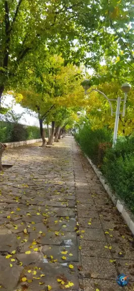 عکس بوستان شهروند، محله ترکان - قلعه نو، شیراز 10