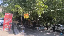 عکس رستوران باغ فردوس دره ننگ الشتر 2