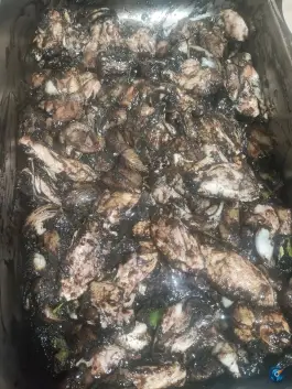 عکس جگرسرای پرواز، بلوار شهید بختیاری، پیشوا 1