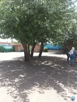 عکس دبستان راه زینب (دخترانه) محله بلورسازی تهران 4