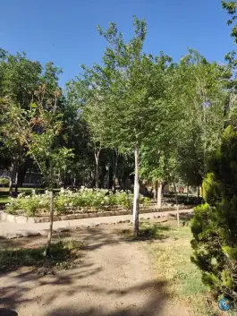 عکس بوستان گل محمدی محله ملاصدرا اصفهان 10