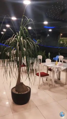 عکس طباخی و غذاهای سنتی کوثر، بلوار شهید منتظری، مشهد 6
