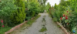 عکس هتل بزرگ باغ گیلاس، بلوار امیرکبیر، شهریار 4