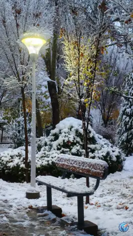 عکس پارک شهید رجایی، محله نقش جهان، اصفهان 2