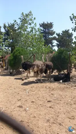مجتمع آموزشی فرهنگی رفاهی پردیس فراجا، رودپی شمالی، ساری