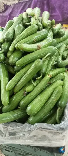 عکس ارزانسرای میوه و تره بار ایمان، فردوسی، اصفهان 2
