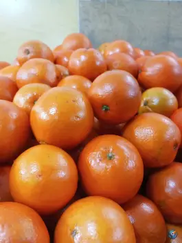 عکس ارزانسرای میوه و تره بار ایمان، فردوسی، اصفهان 5