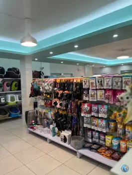 عکس کلینیک دامپزشکی آیری، جهانشهر، کرج 3