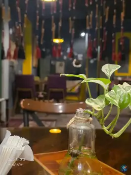 عکس کافه چینو، محله شهید چمران، شاهرود 3