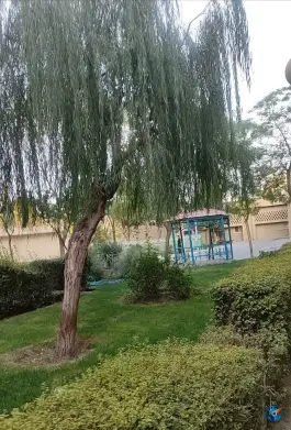 عکس بیمارستان امام رضا تامین اجتماعی، شهرک محمدیه، اسلامشهر 9