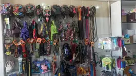 عکس پت شاپ متیو، شهرک گلستان، شیراز 5