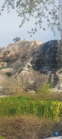 عکس بوستان قلعه بندر، نیستان، شیراز 3