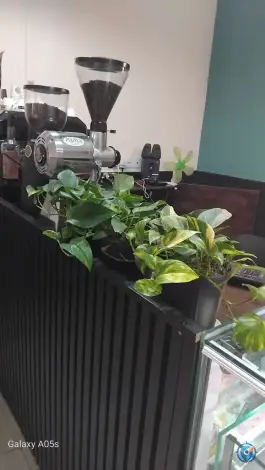 عکس کافی شاپ آیرون سنگان خواف 3