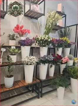 کلبه گل شهرک، بوستان، اصفهان