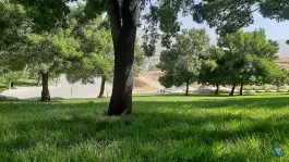 عکس های بوستان دانشجو، بلوار شهدا، فارسان