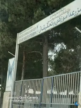 عکس های مزرعه تحقیقاتی دانشکده کشاورزی دانشگاه آزاد کرج، ماهدشت، کرج
