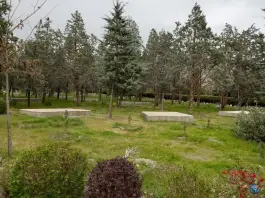 عکس بوستان جنگلی جهان نما کرج 6