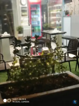 عکس کافه جیگر، فلسطین، تهران 6