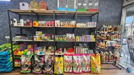 عکس پت شاپ باغچه طوطی گرمدره کرج 3