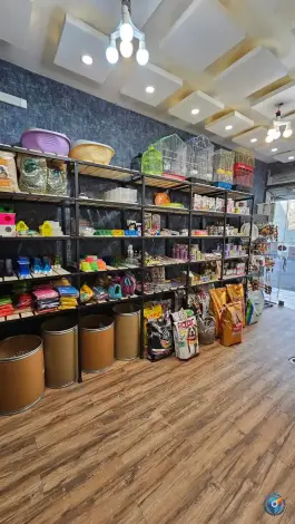 عکس پت شاپ باغچه طوطی گرمدره کرج 4