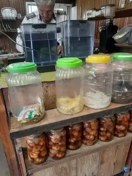 عکس کته کبابی عمو علی، چابکسر 5