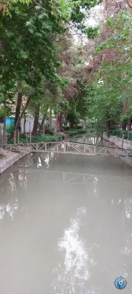 عکس مادی نیاصرم، محله فتح آباد، اصفهان 3