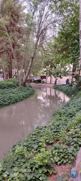 عکس مادی نیاصرم، محله فتح آباد، اصفهان 4