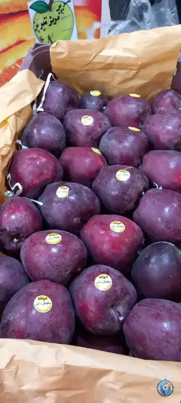 عکس باغ میوه کمال شهر کرج 3